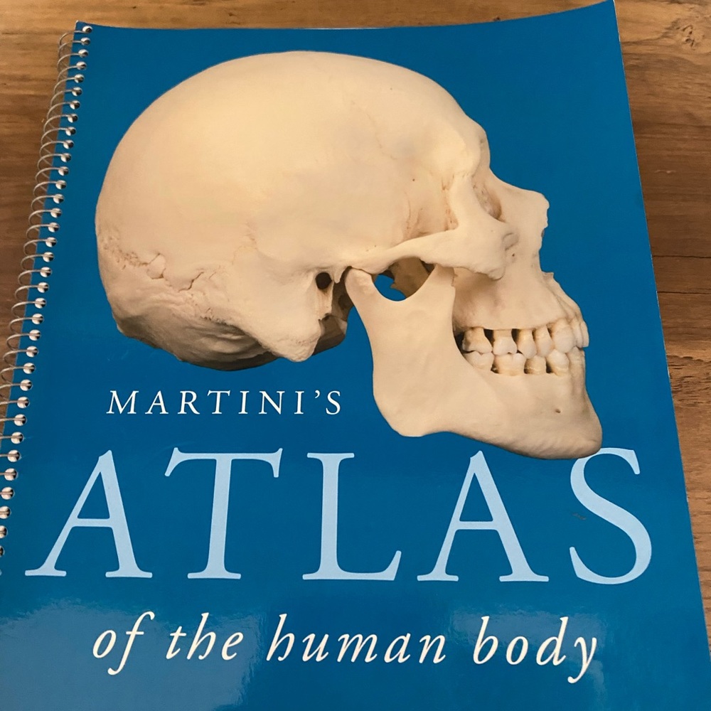 Spiral Bound Martinis Atlas of the Human Body textbook